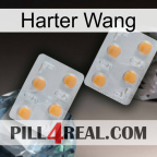 Hard Wang 25